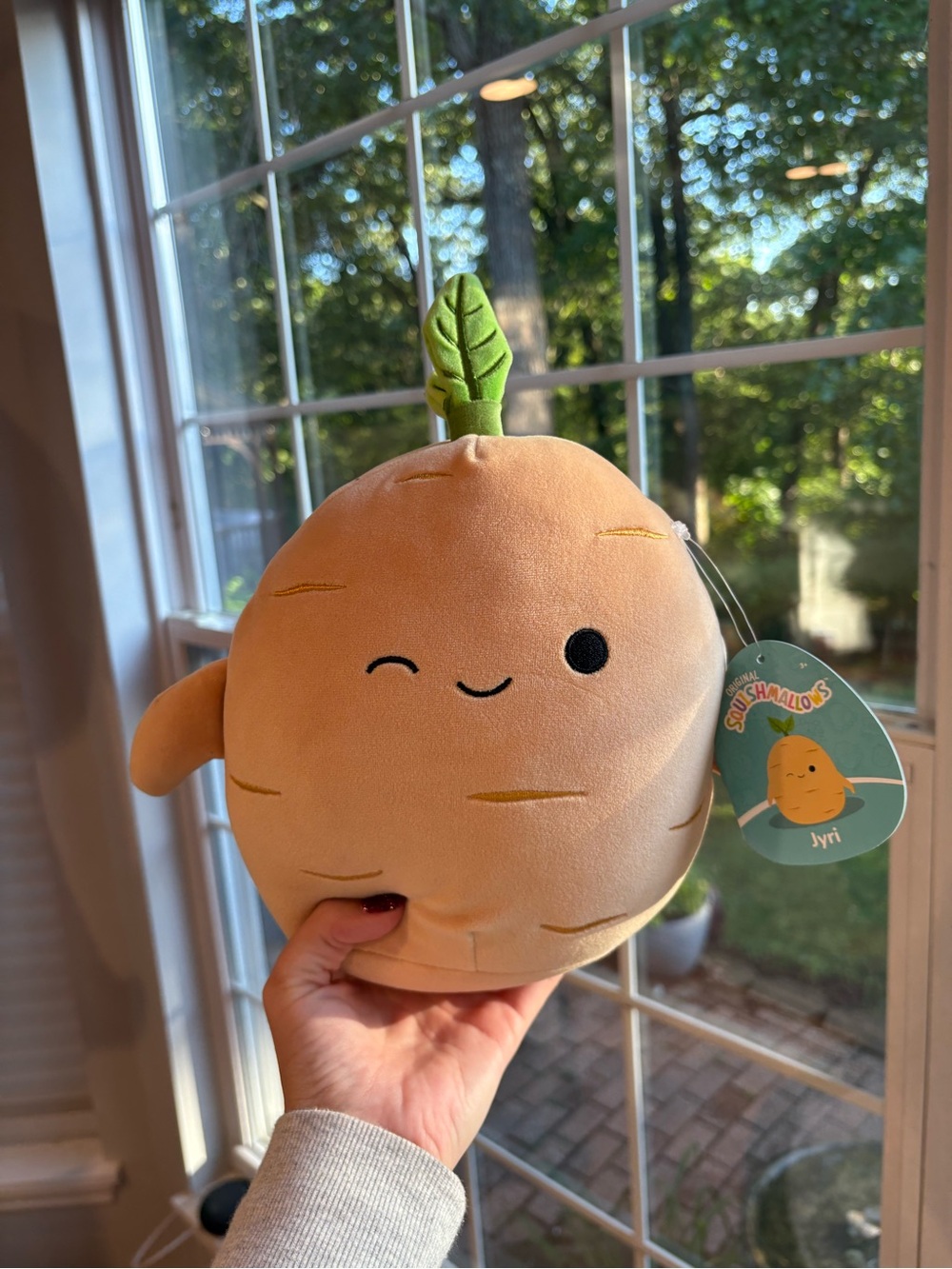 Jyri the tan Ginseng Squishmallow NWT 8in